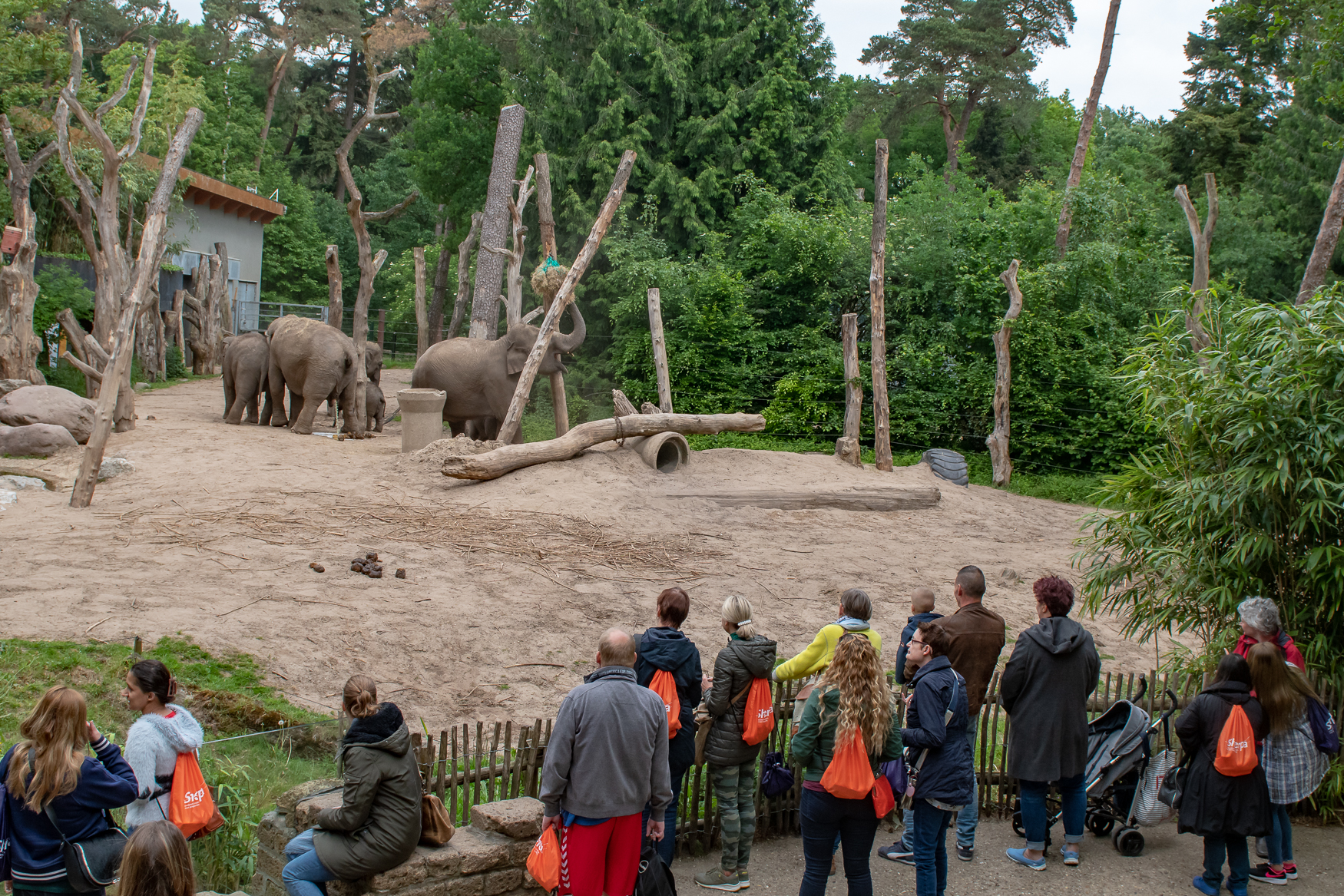 IMPACT 2018 Amersfoort Zoo IMPACT 2018 Amersfoort Zoo
