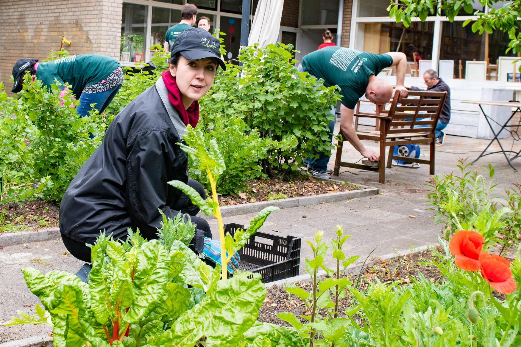 IMPACT 2018 Gardening IMPACT 2018 Gardening