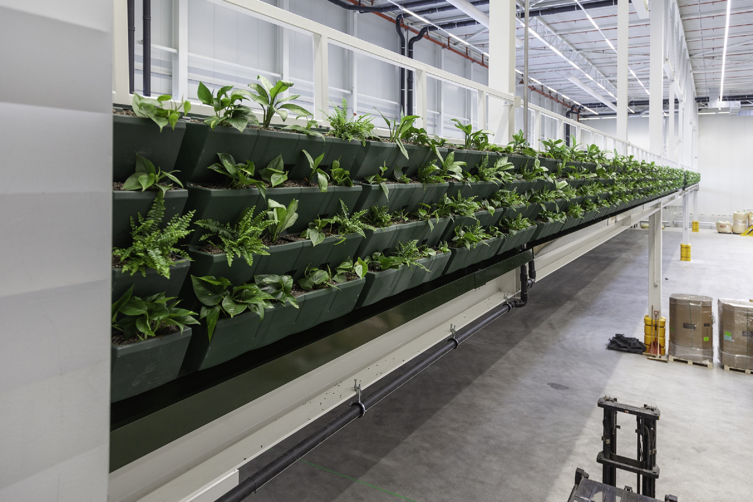 WELL Building feature - warehouse plants WELL Building feature - warehouse plants