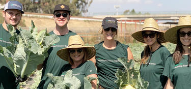 Team members volunteer their time during IMPACT Day 2020