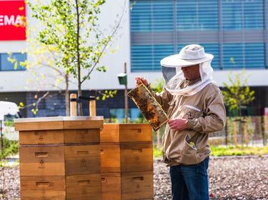 A Beekeeper with wooden boxes infront of a warehouse