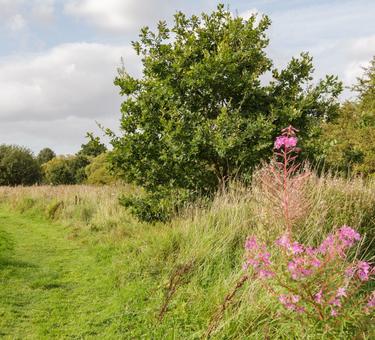 Prologis PARKlife - Space to relax and unwind